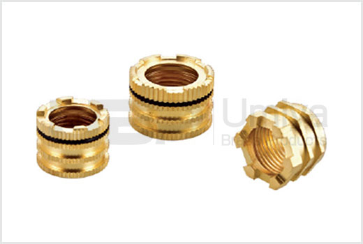 Brass UPVC Female Inserts